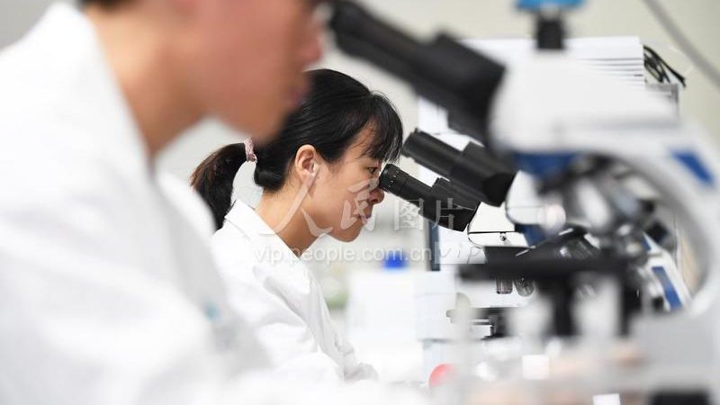 实验室耗材定制：尺寸要求解析与注意事项