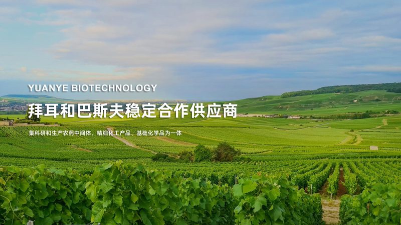 酶促反应步骤解析：关键步骤与差异点详解