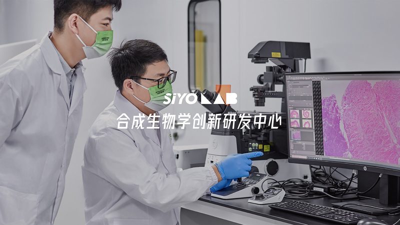2025年生物科技护肤品崛起：揭秘十大品牌背后的科技力量