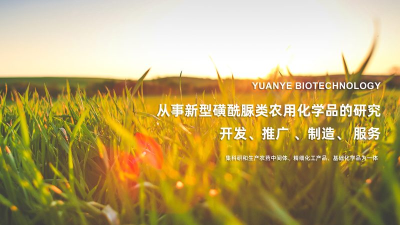 单抗生物制品批号规格背后的奥秘：揭秘查询之道**
