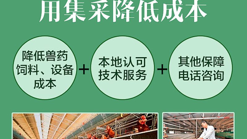 细胞培养试剂盒：揭秘选择背后的科学逻辑